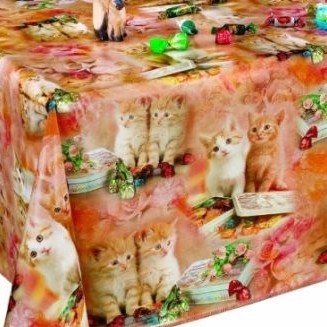 Chatons Roux