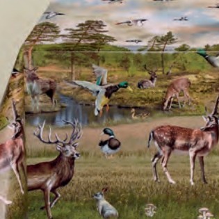 Rambouillet Nature